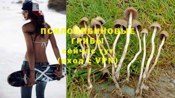 герыч Белокуриха