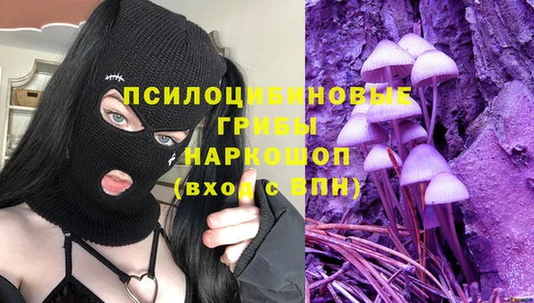 тгк Беломорск
