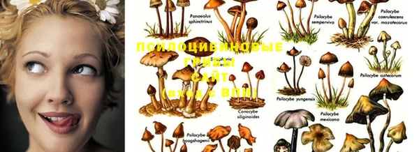 стафф Белоозёрский