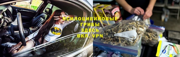 тгк Беломорск