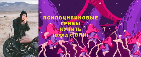 тгк Беломорск
