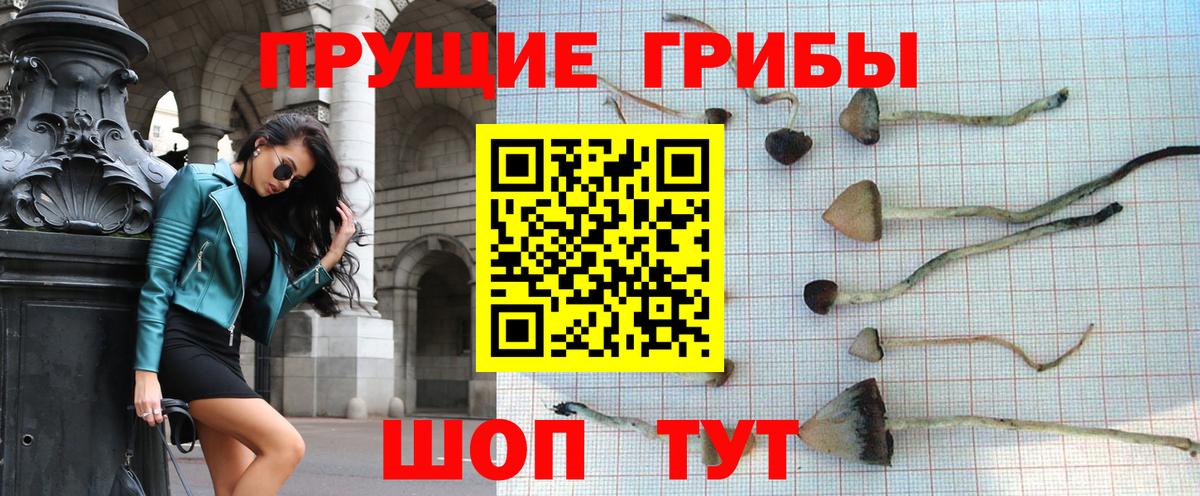 Псилоцибиновые грибы Psilocybine cubensis  Вход с VPN  Бирск 