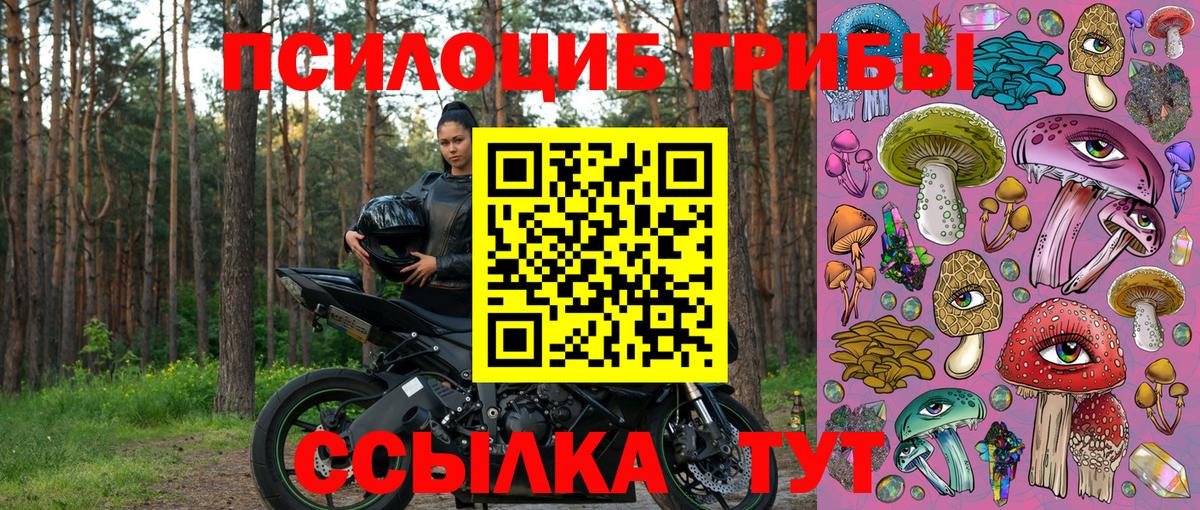 Галлюциногенные грибы Magic Shrooms Бирск